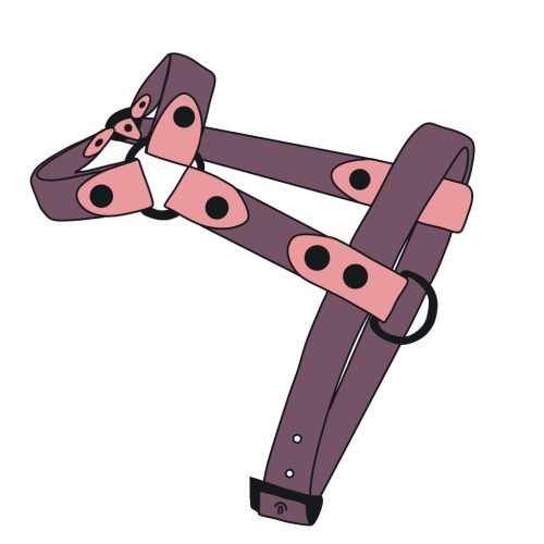 Marvelous mauve & Pastel pink 