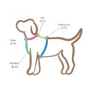 Powder tan & Polar blue 