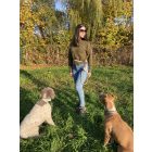 Választható színű, állítható, multifunkcionális póráz