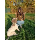 Választható színű, állítható, multifunkcionális póráz