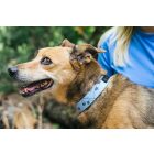 Floral Blue Nyakörv