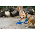 Floral Blue Nyakörv