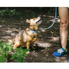 Floral Blue Nyakörv