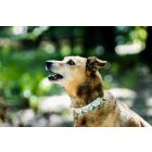 Nature Girl Nyakörv